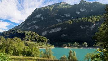Seasonal outdoor pool, pool umbrellas, pool loungers