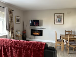 Classic Apartment, 1 Bedroom, Non Smoking | Living area | Flat-screen TV, fireplace, Netflix, streaming services - Buttermilk Lodge (Clifden)