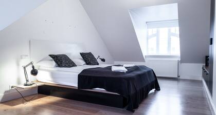 Luna Apartments Laugavegur 37