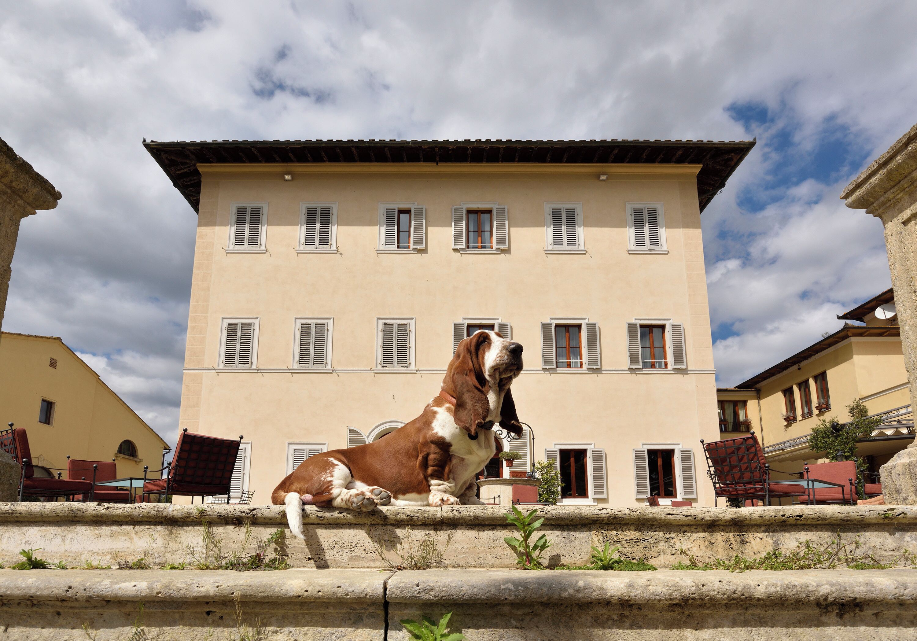 A large building with multiple windows and a dog sitting on a stone ledge in front.