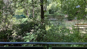 Une zone boisée luxuriante avec un banc et un sentier.