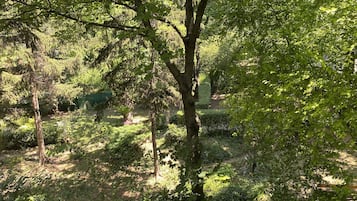 Vista desde la propiedad