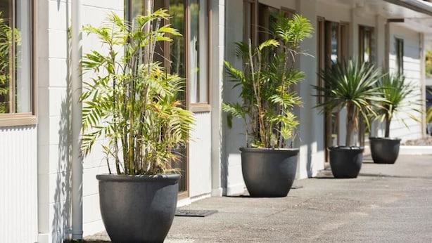 A building with large windows and potted plants along the exterior. - Aarangi Tui Motel (Paihia)