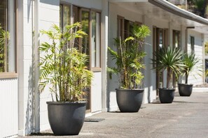 A building with large windows and potted plants along the exterior. - Aarangi Tui Motel (Paihia)
