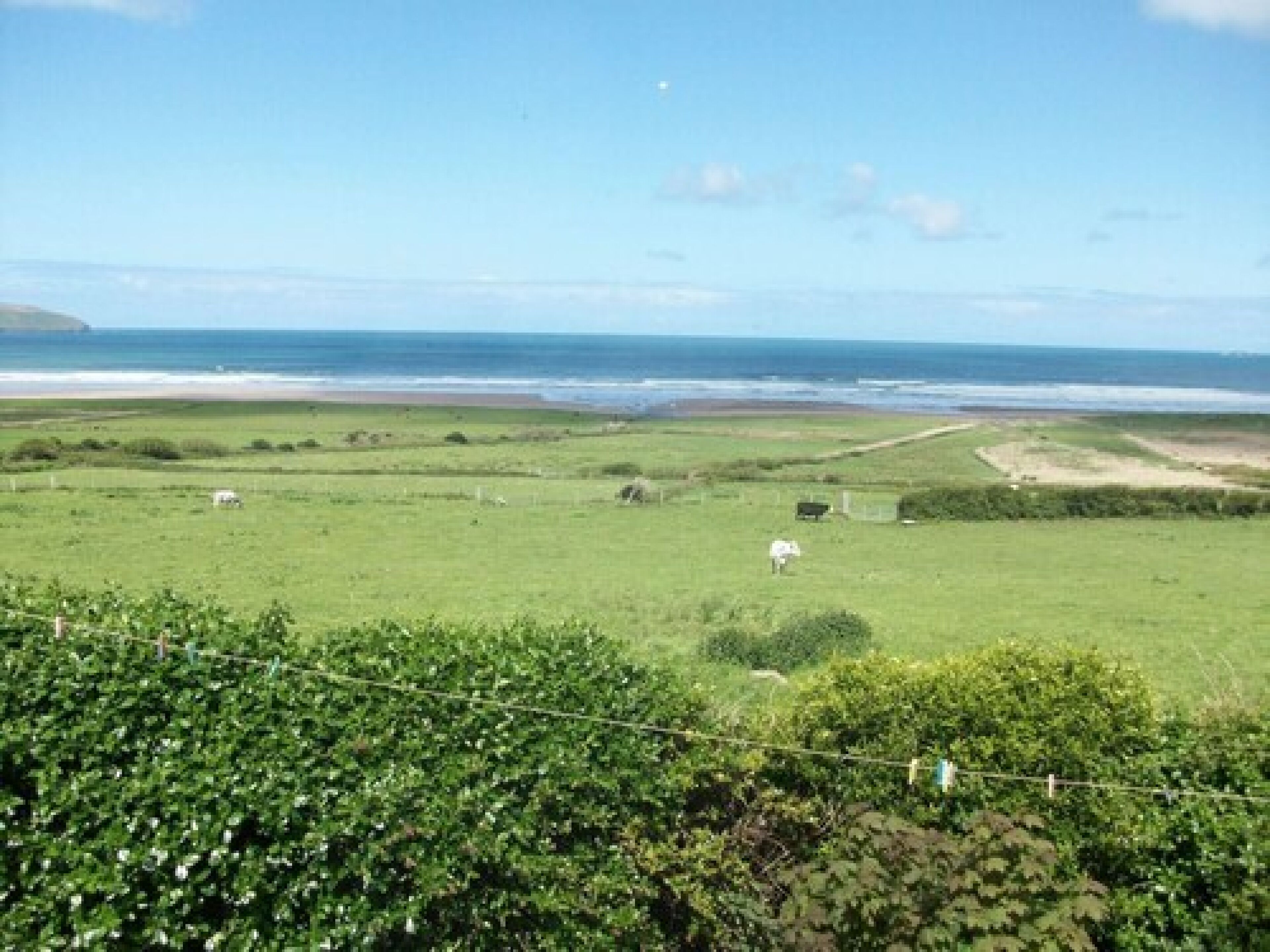 Un paysage côtier avec un champ d’herbe, quelques vaches et une plage qui s’étend au loin.