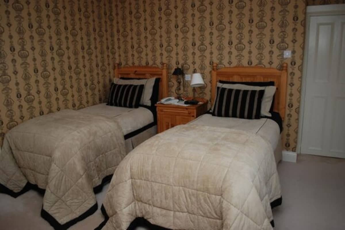 Una habitación con dos camas individuales, cabeceros de madera, una mesita de noche con lámpara y papel tapiz estampado.