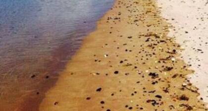 Shores Country House Bed & Breakfast