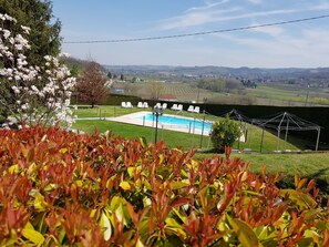 季節性室外泳池