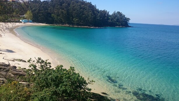 Una playa con agua turquesa cristalina, orilla arenosa y un bosque denso al fondo.