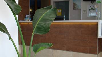 A reception area with a potted plant, a reception desk, a television, and a wall-mounted sign.