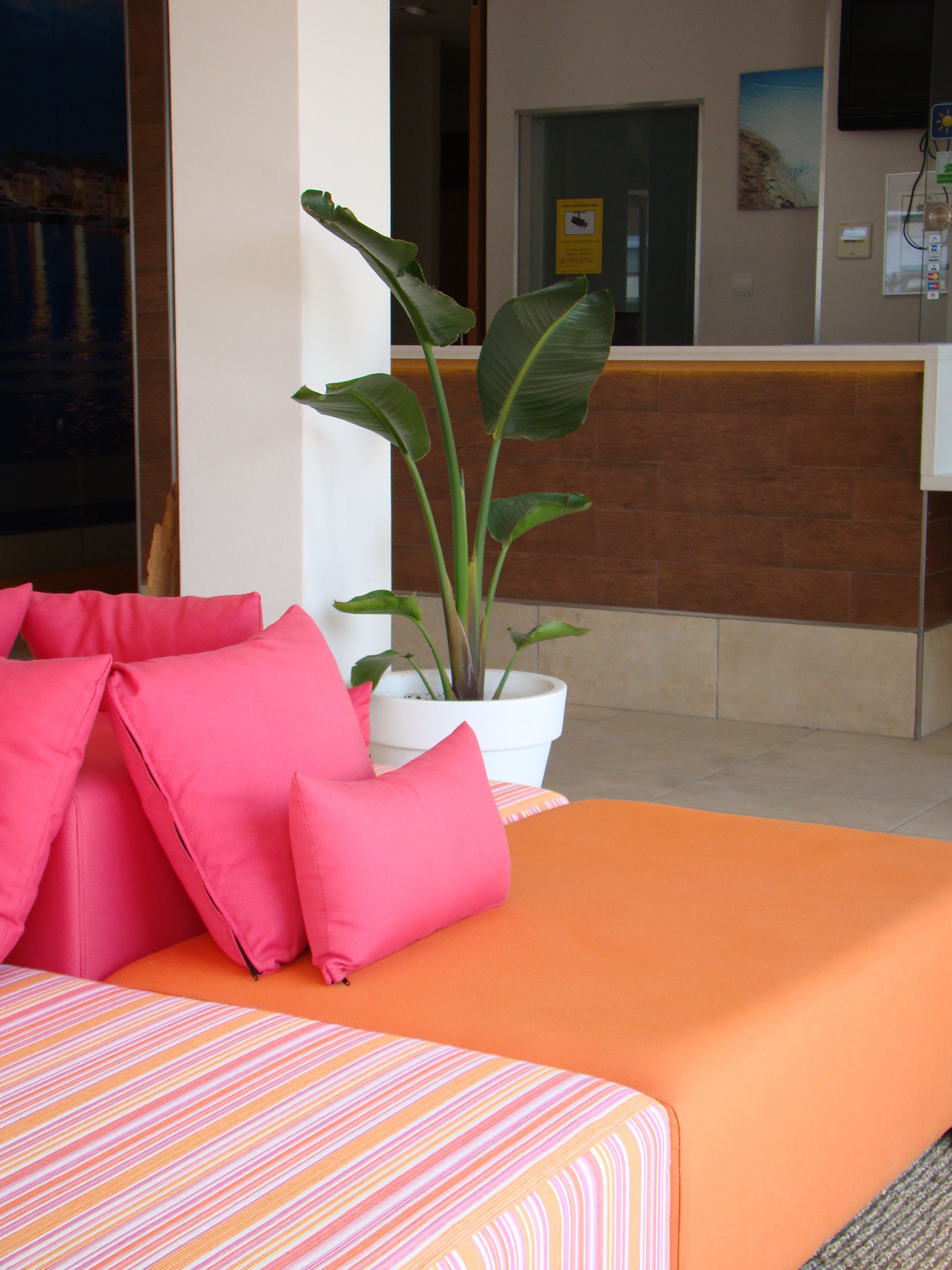 A hotel room with a bed, a reception desk, and a potted plant.