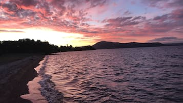 Järvi