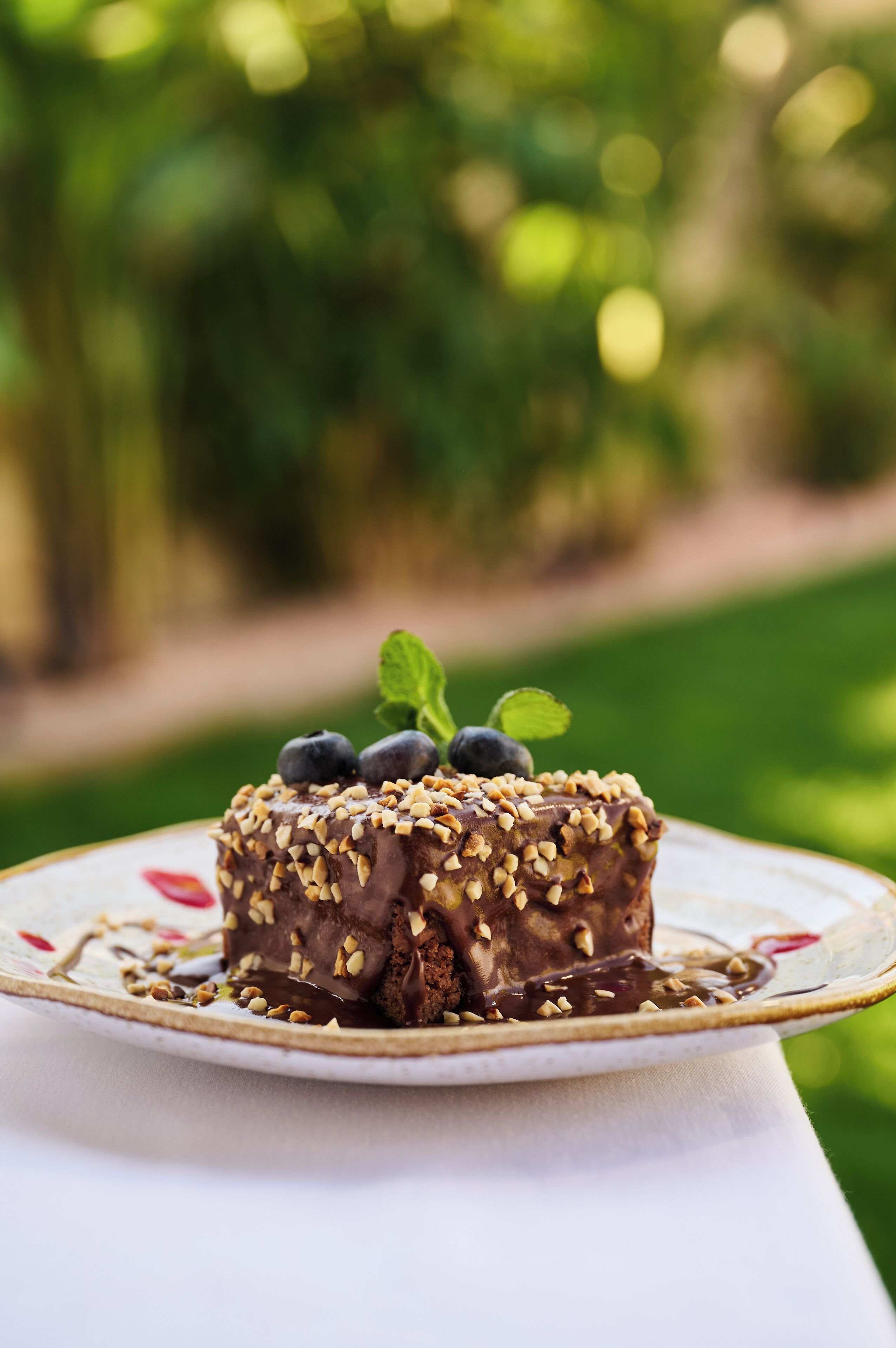 A dessert on a plate with a blurred green background.