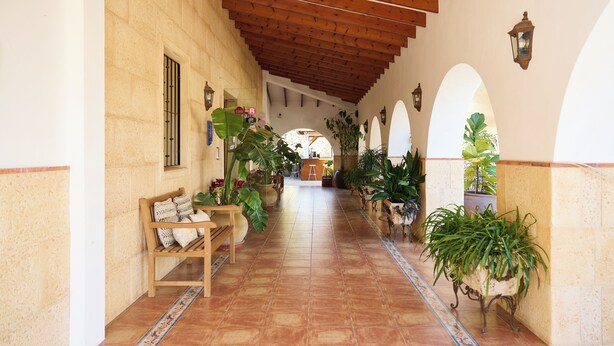 A corridor with tiled flooring, wooden benches, potted plants, and arches. - Hotel Tossal d'Altea (Altea)