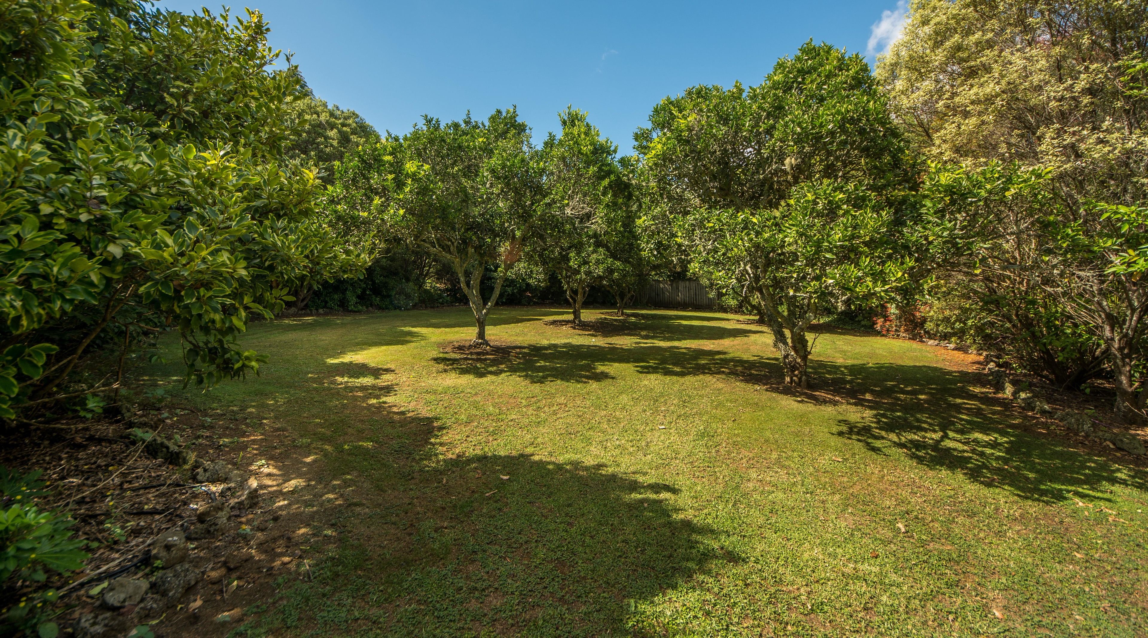 A well-maintained garden with a variety of trees and a grassy lawn.
