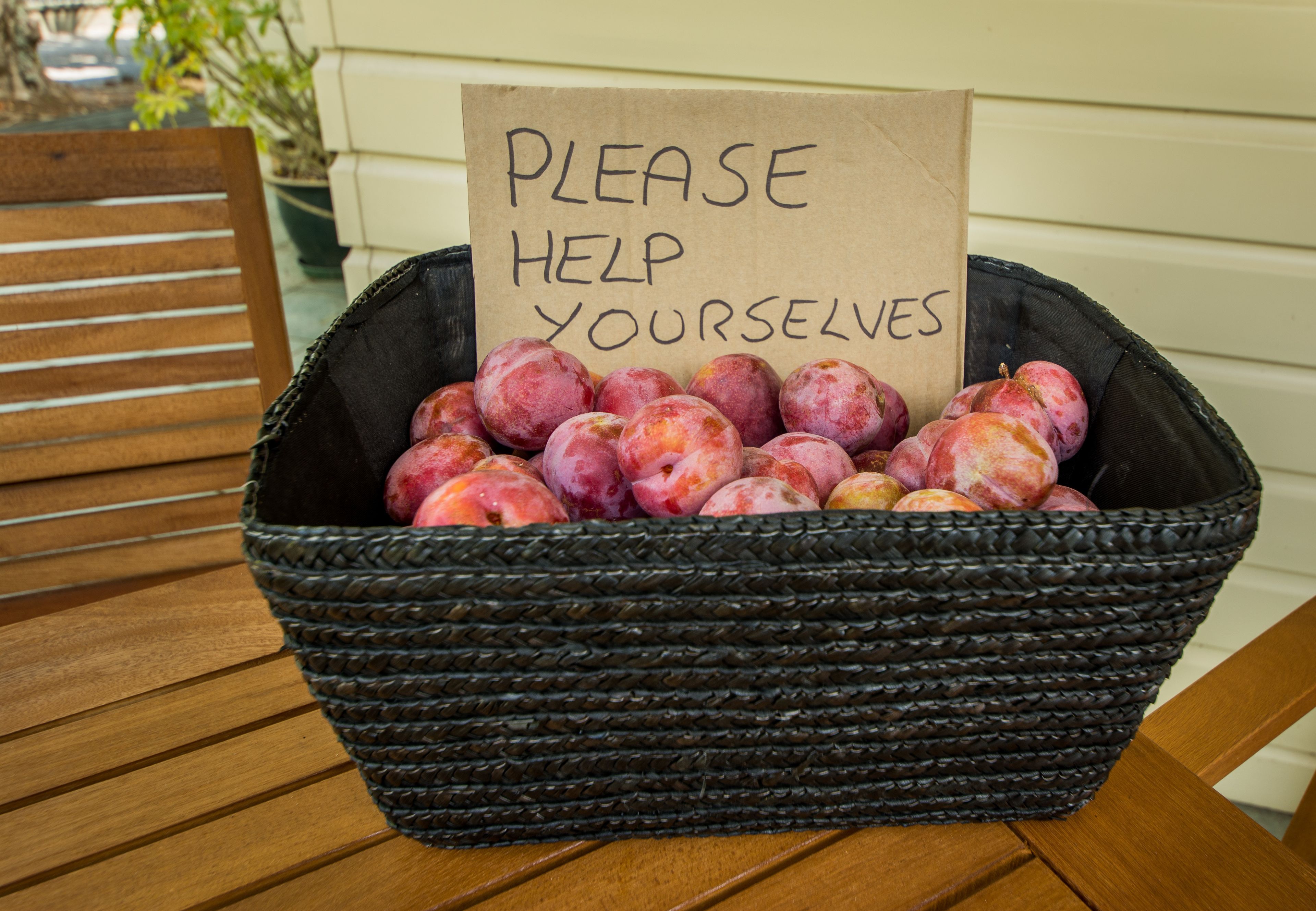 Un panier en osier rempli de prunes, avec une pancarte indiquant : «SERVEZ-VOUS. »