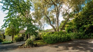 A residential area with two houses, surrounded by lush greenery and trees. - Kauri Park Motel (Kerikeri)