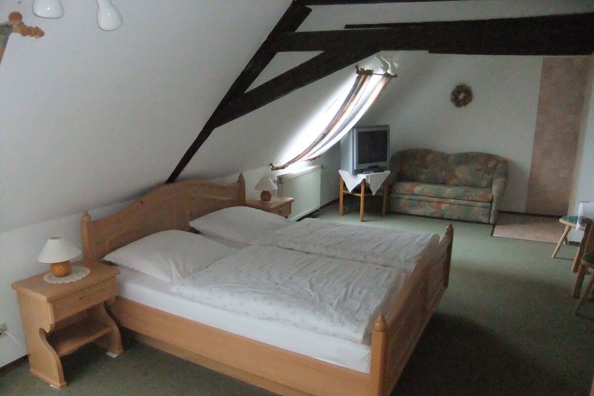 Un dormitorio con cama de madera, una mesita de noche, una lámpara, un televisor sobre un mueble bajo y un sofá.