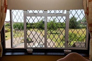 Vista desde la propiedad