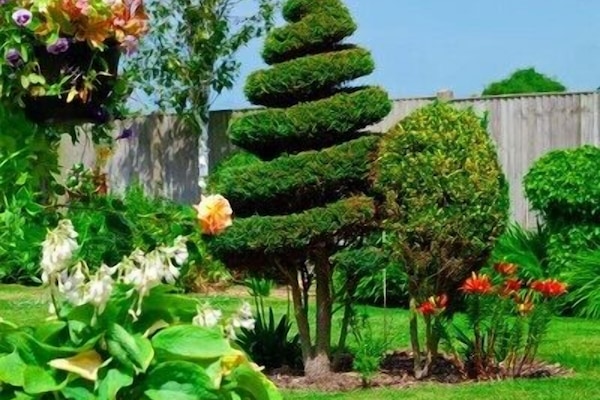 Jardim