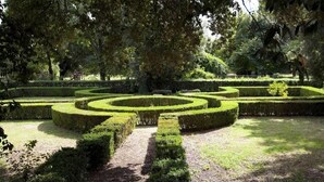 A formal garden with geometric hedge mazes and a central pathway. - Agriturismo Pantano Borghese (Rome)