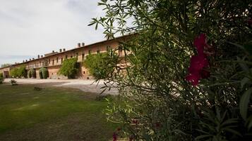 Un cortile con una fila di edifici, una zona verdeggiante e vegetazione lussureggiante.