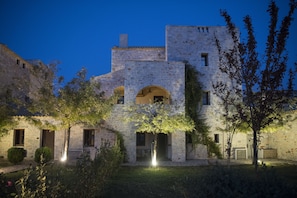 Standard House | Terrace/patio