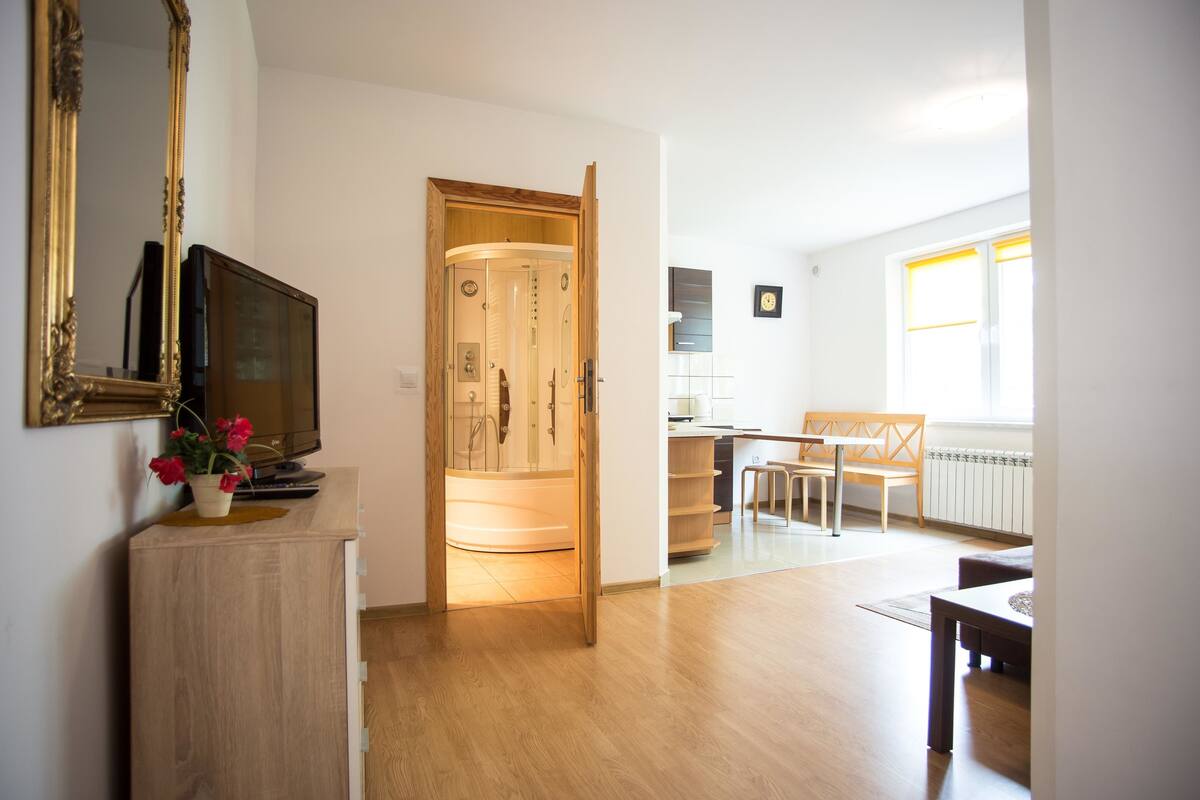 Un salon moderne avec un meuble en bois, un téléviseur et une cabine de douche en verre.