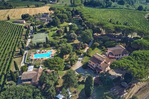 Vineyard - Villa Acquaviva Wine Resort (Manciano)