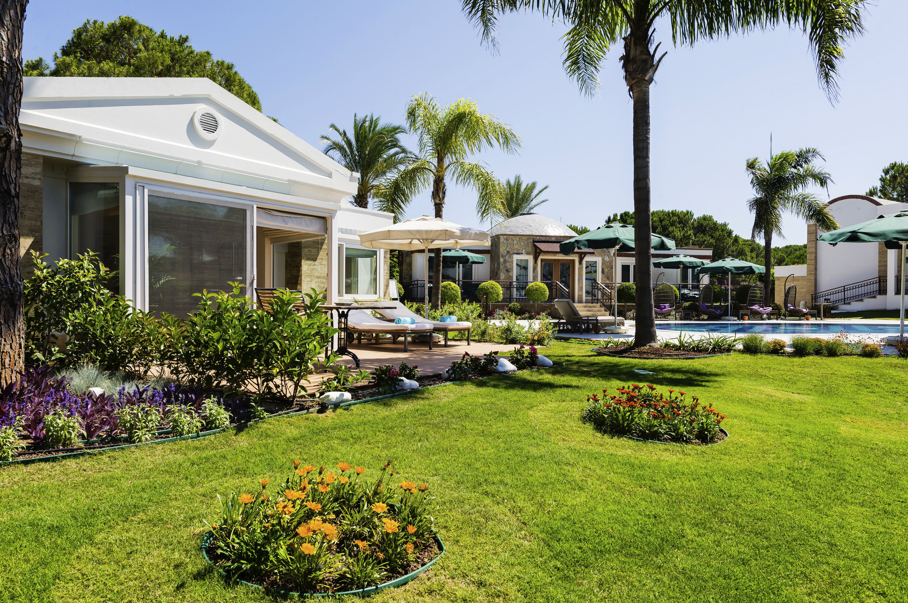 Un complexe hôtelier doté d’une piscine, de chaises longues et de palmiers.