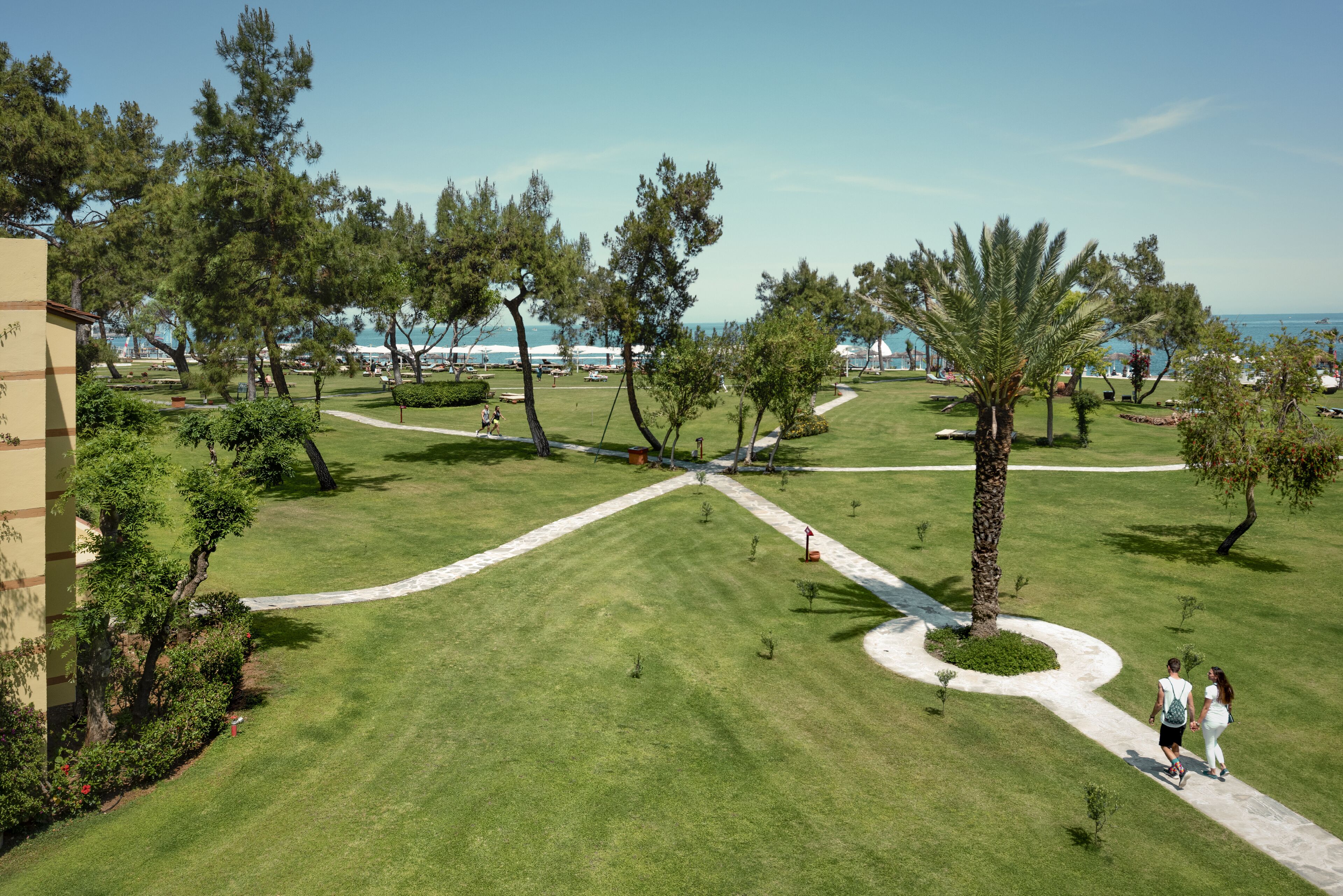 Photo - ROBINSON CAMYUVA - Adults only