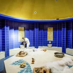 Outdoor treatment area, Turkish bath/hammam, body treatments
