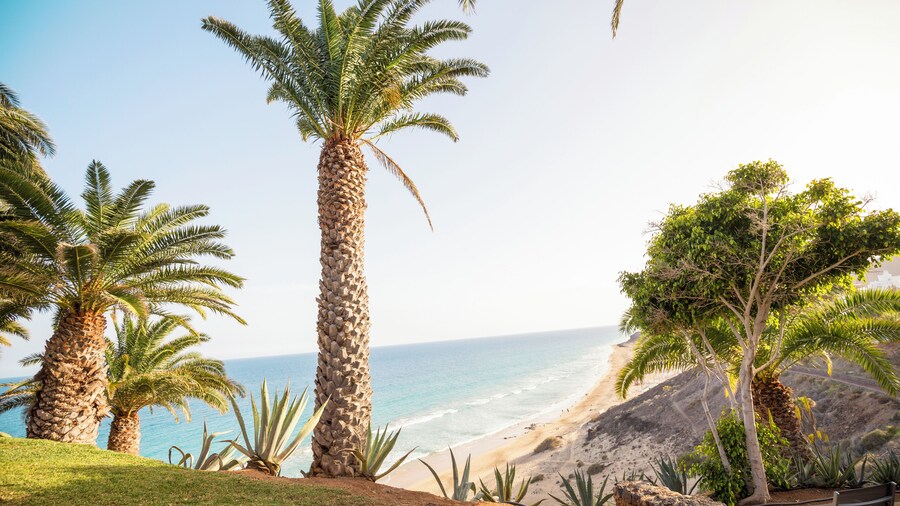 ROBINSON ESQUINZO PLAYA - All Inclusive