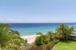 On the beach, sun-loungers, beach umbrellas, beach towels
