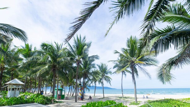 A beach with palm trees, a small structure, and a clear view of the ocean. - Gold Coast Da Nang Hotel (Da Nang)