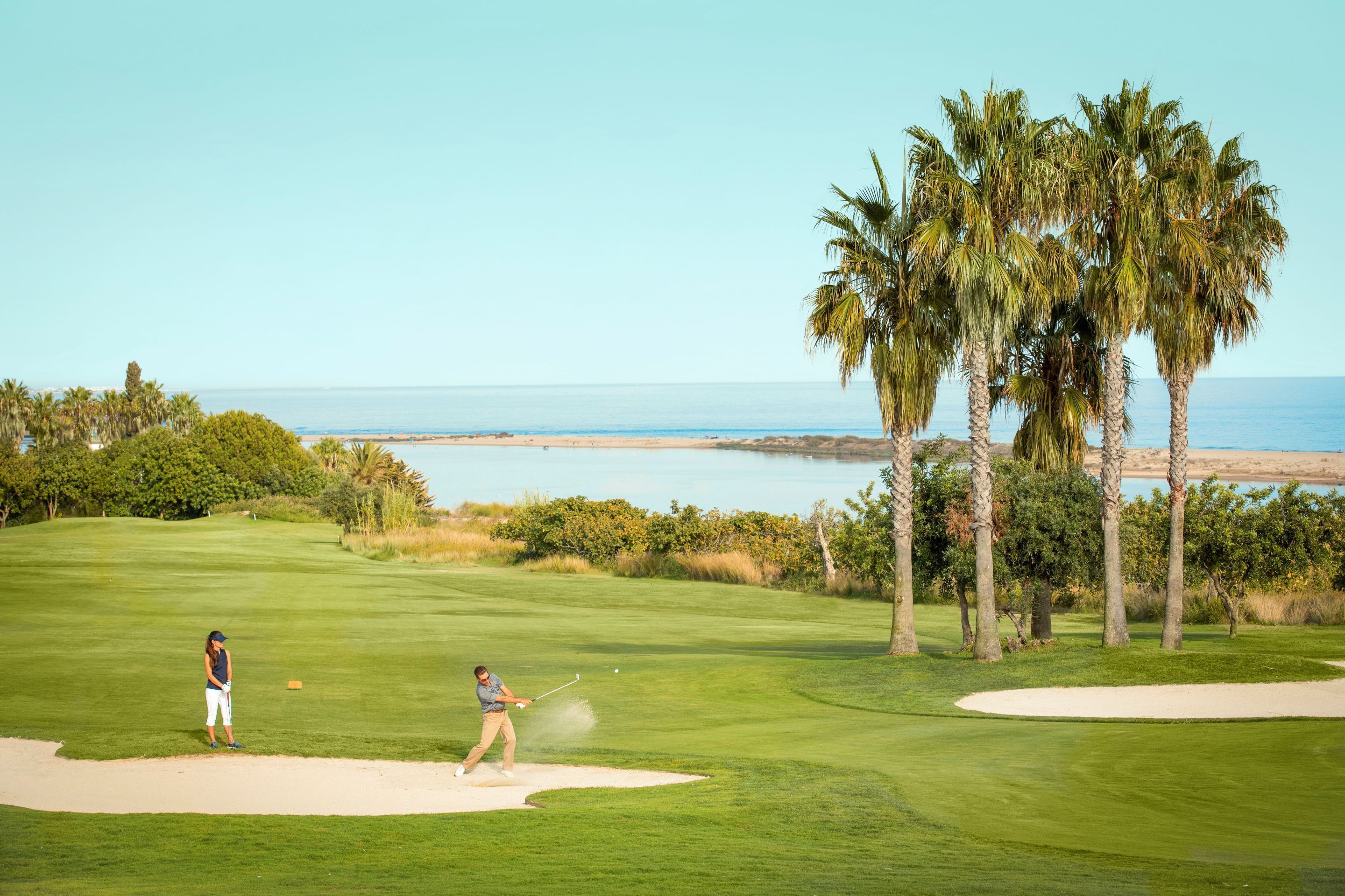 Un parcours de golf offrant une vue dégagée sur l’océan et les palmiers.