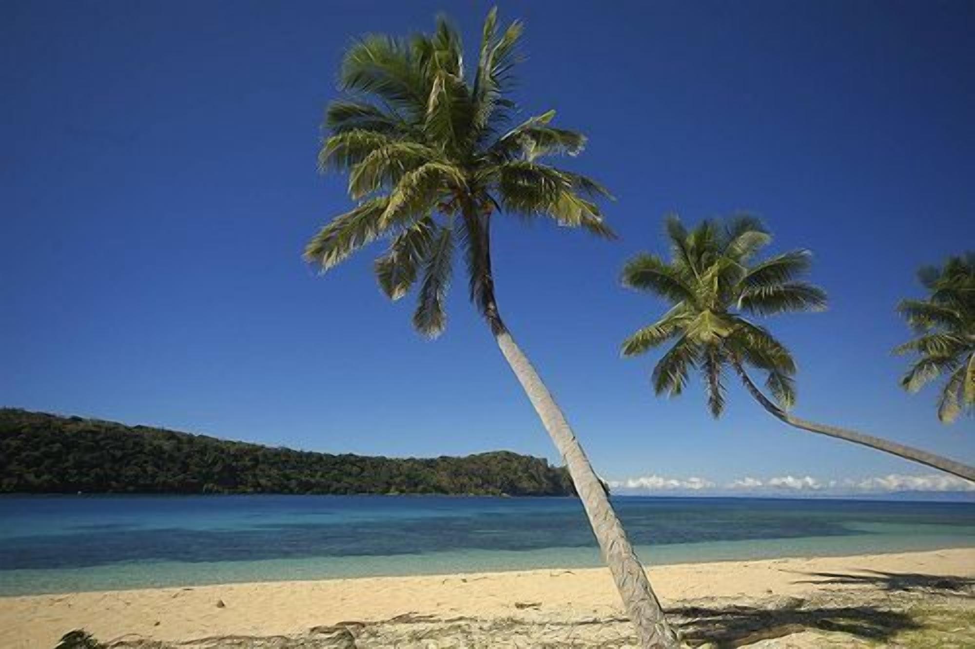 Private beach, beach massages, windsurfing, beach bar