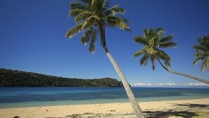 A beach with palm trees and clear blue water. - Kinasi Lodge (Mafia Island)
