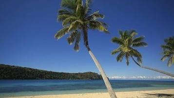 Private beach, beach massages, windsurfing, beach bar