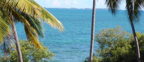 Vista costeira com palmeiras e águas azul-claras.
