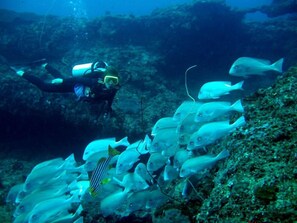 Installations sportives