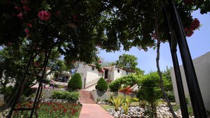 Un vialetto conduce a un edificio con una scala, immerso in un giardino ricco di piante e fiori.
