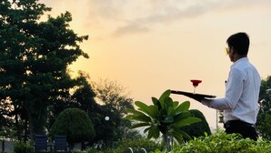 A pool area with a person holding a tray with a drink and a glass, surrounded by greenery and trees.