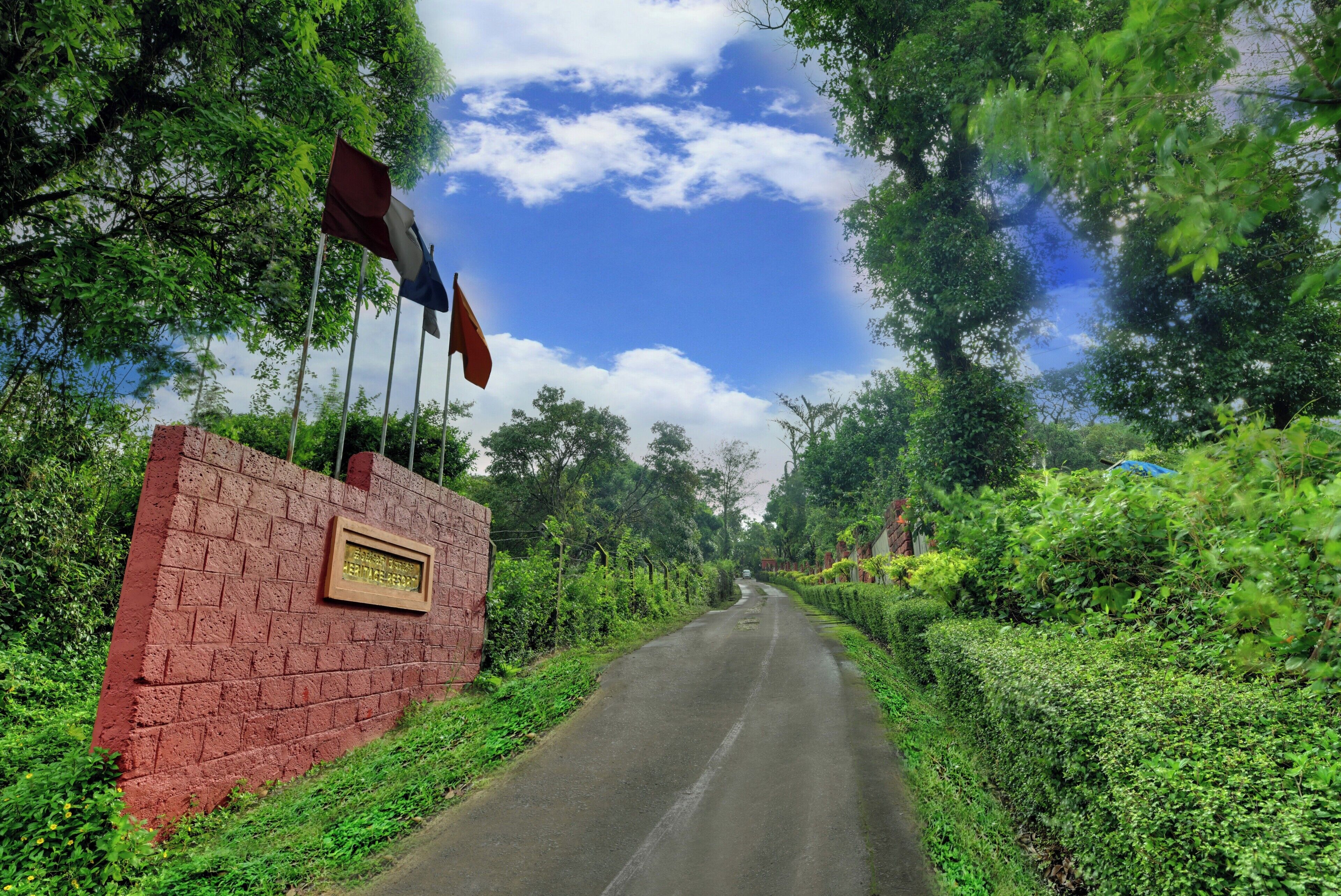 A road flanked by lush greenery and a brick wall with a sign.