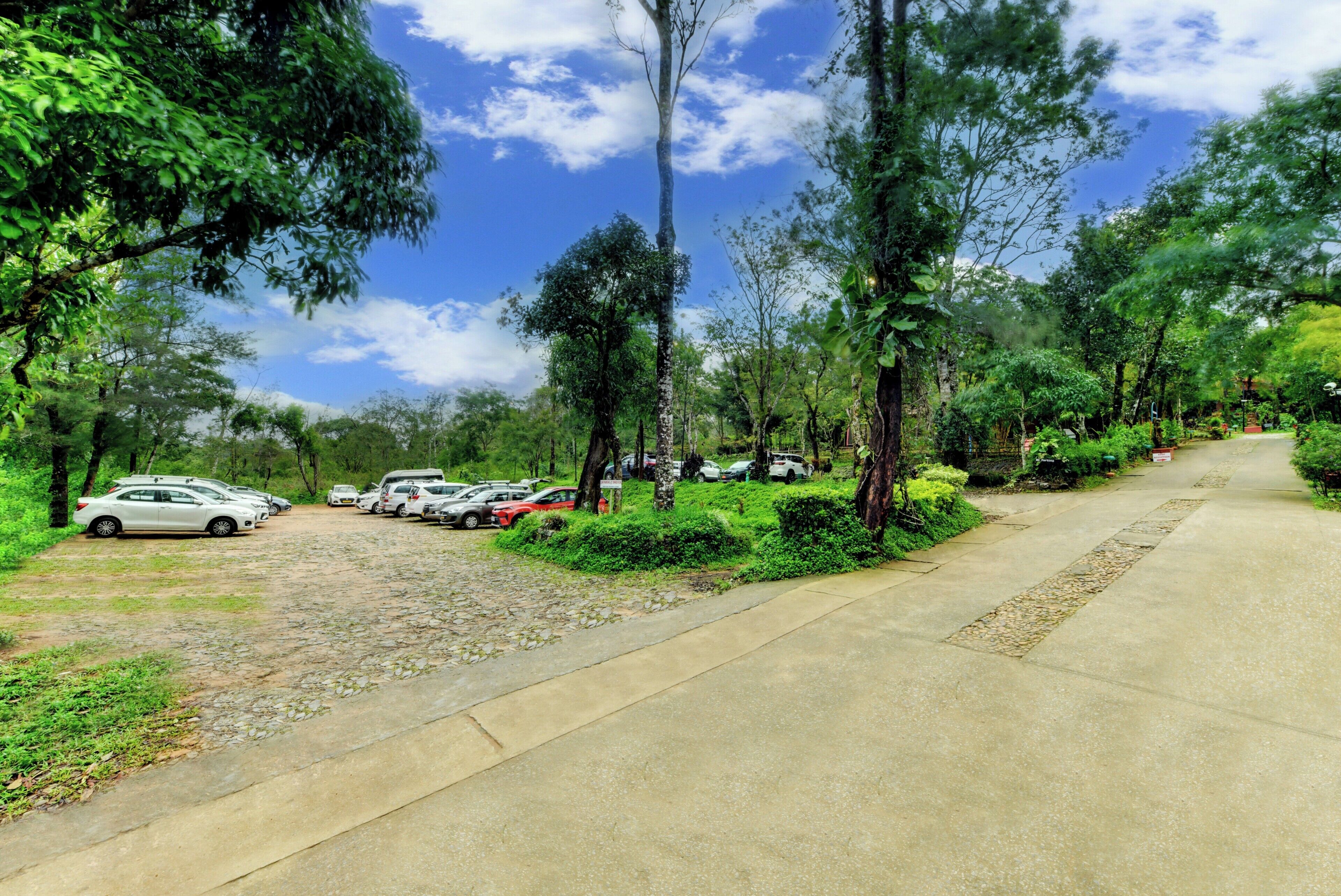 Un estacionamiento con varios coches, un sendero pavimentado y abundante vegetación.