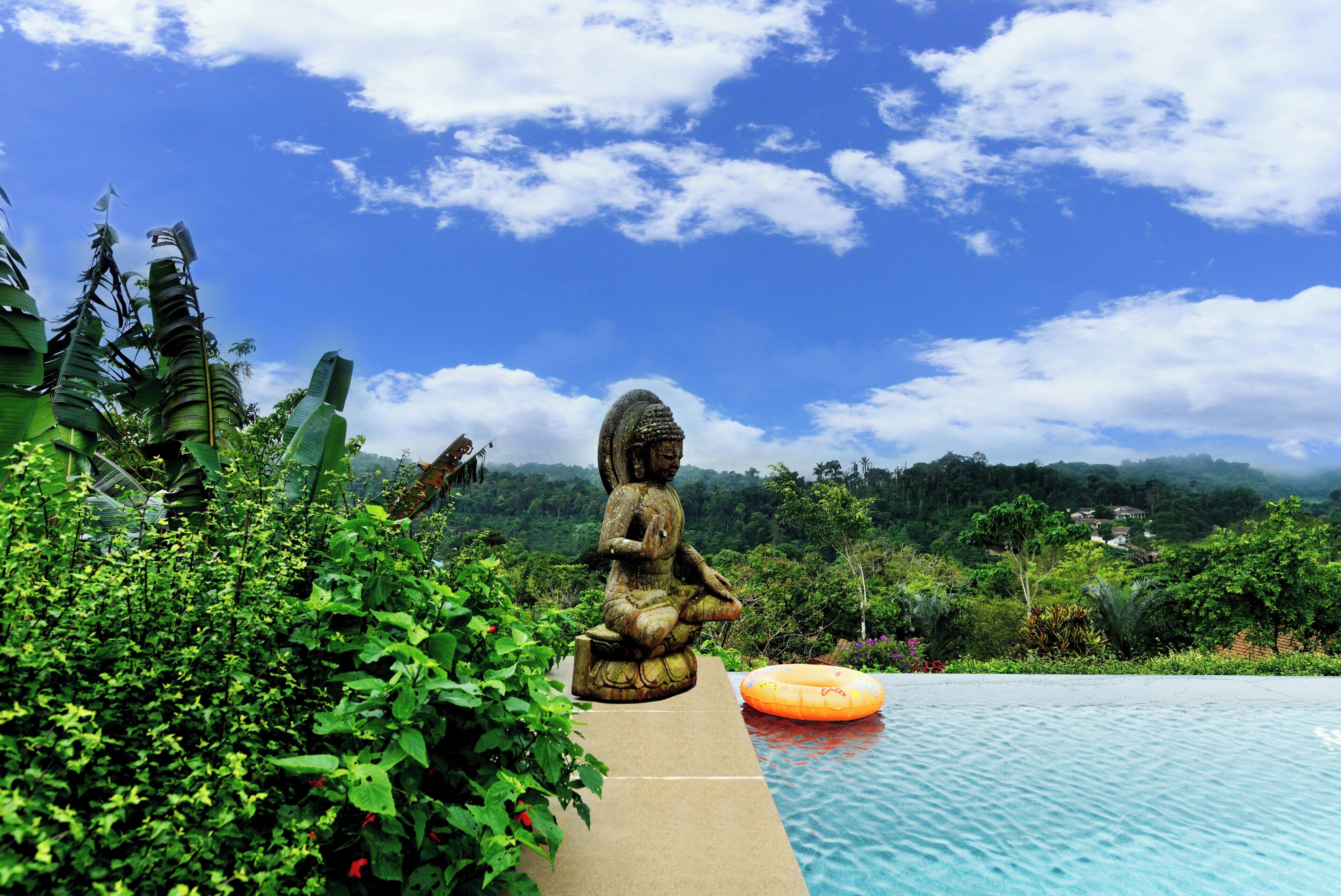 Une statue de Bouddha au bord d’une piscine, avec vue sur un paysage luxuriant.