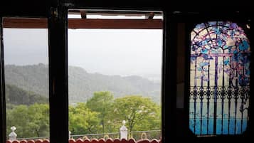 A view through a window with a metal gate and a decorative glass door.
