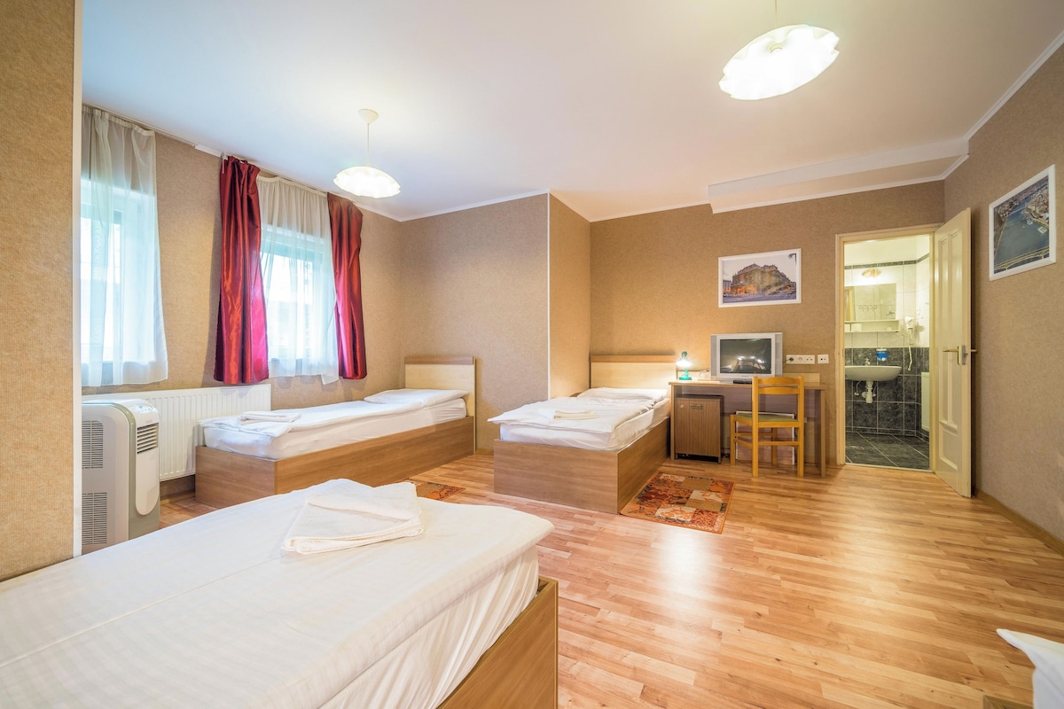 Family Room | In-room safe, desk, WiFi (free), bed sheets