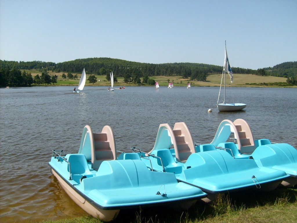 A row of blue paddle boats docked at a lake with sailboats in the background.