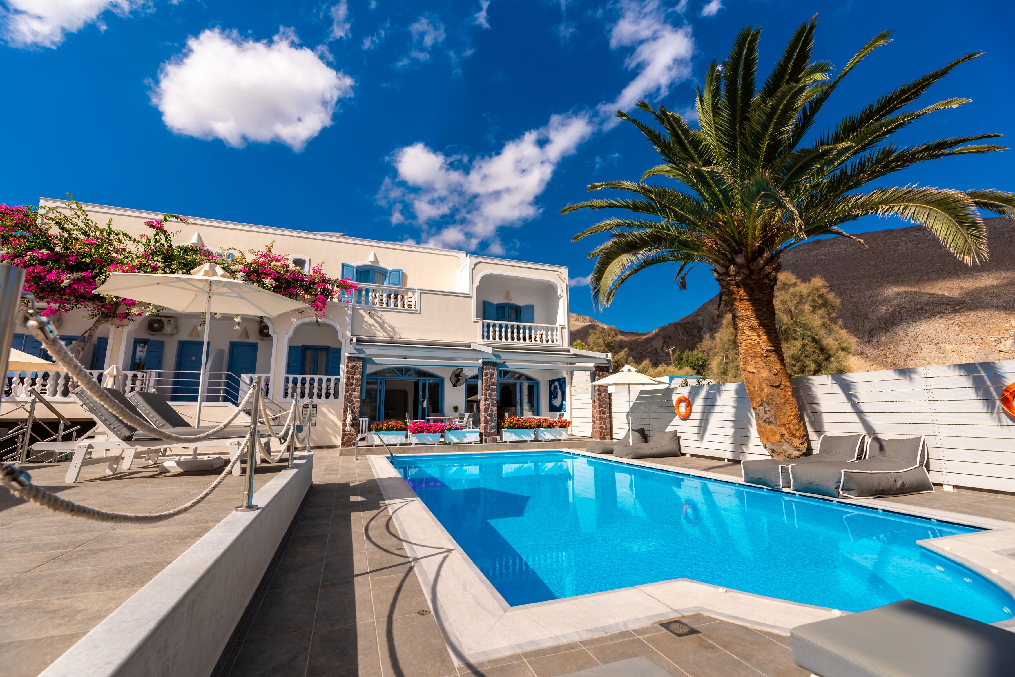 A pool area with lounge chairs and a palm tree.